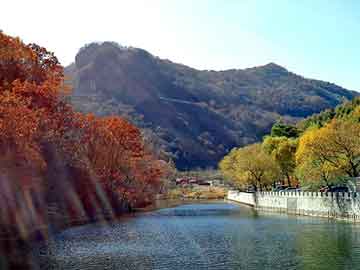 新澳天天开奖资料大全旅游团，张卫健游走巴黎